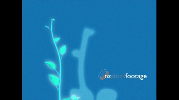 Flowers Growing 1 847